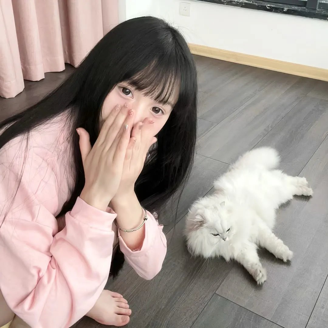 群居姐妹
